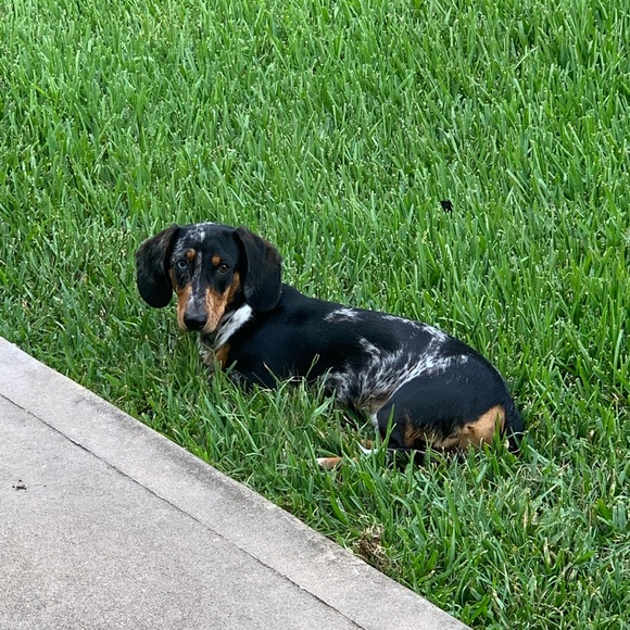 Meet your Posher, Beth - Picture 3 of 6